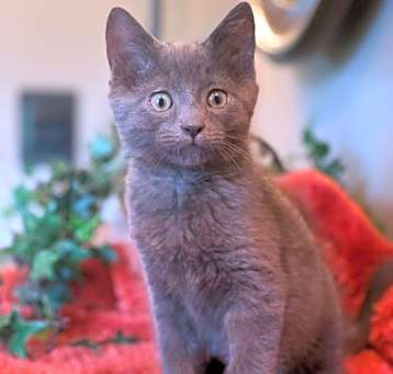 Photo of Cloud