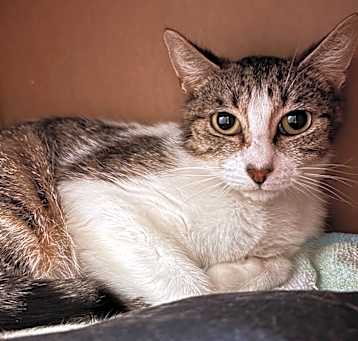 Photo of Jasmine