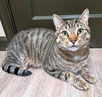 Photo of Luna
