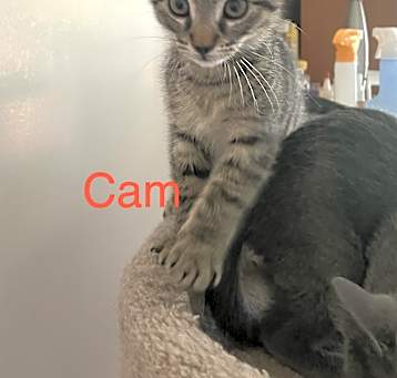 Photo of Cam