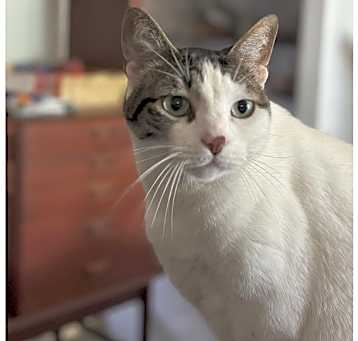 Photo of Theo