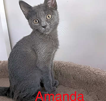 Photo of Amanda