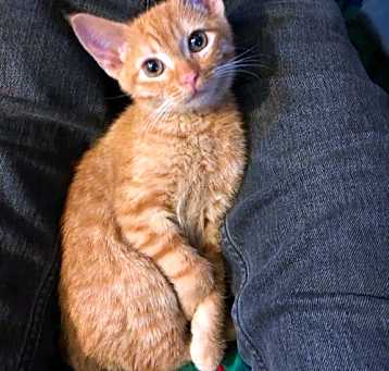 Photo of Glennie