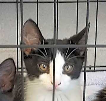 Photo of Baby Preshy