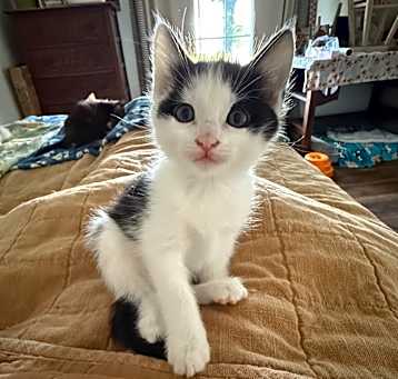 Photo of Murph