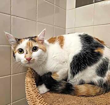 Photo of Peggy