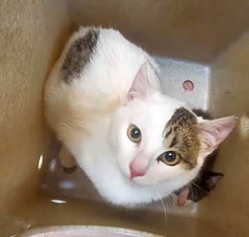 Photo of SPOT