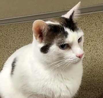 Photo of MISO