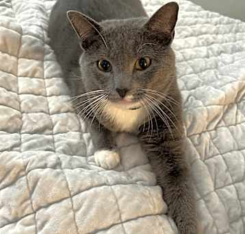 Photo of Mr. Freaky