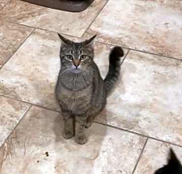Photo of Billy Bob