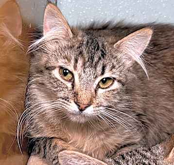Photo of ZUZU