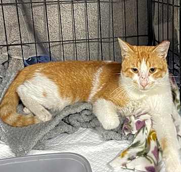 Photo of Diggory 