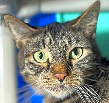 Photo of Mitty