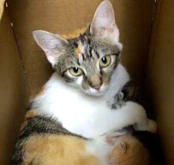 Photo of GIRLIE