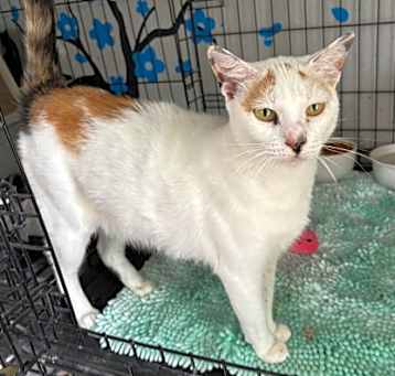 Photo of Zena