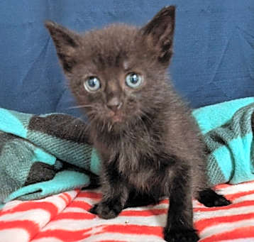 Photo of *Tabitha