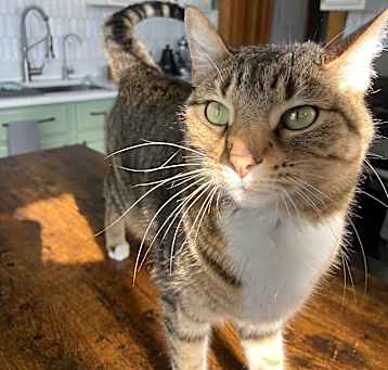 Photo of Penelope