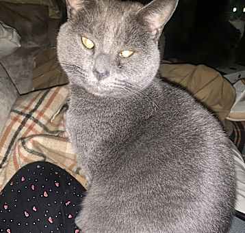 Photo of Mouser