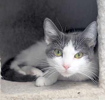 Photo of Annie