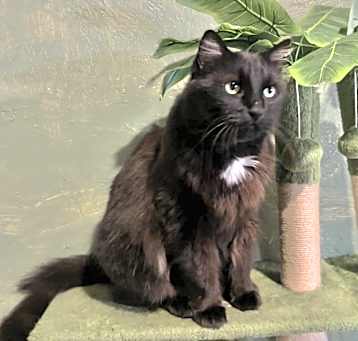 Photo of Rocki
