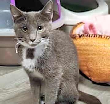 Photo of Winkin