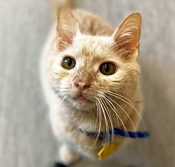 Photo of Max