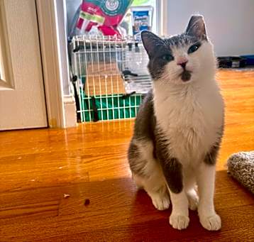 Photo of Poptart