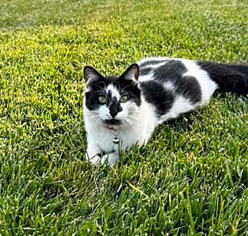 Photo of Billy