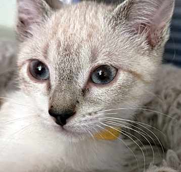 Photo of Suzi