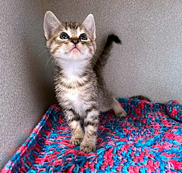 Photo of Tina (9717)