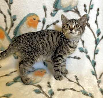 Photo of Bernard