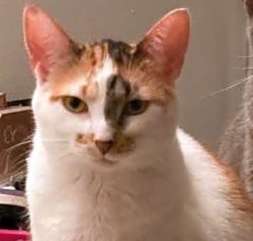 Photo of Phoebe Buffay