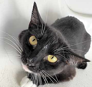 Photo of Bibiana