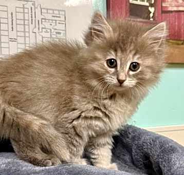 Photo of Enid