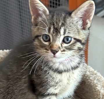 Photo of Jazlyn