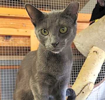 Photo of Mystic