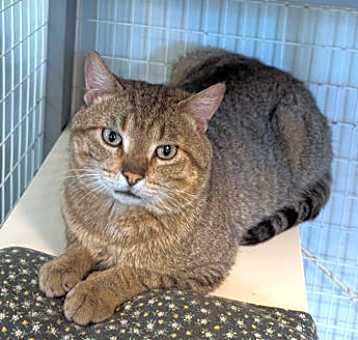 Photo of Phoenix