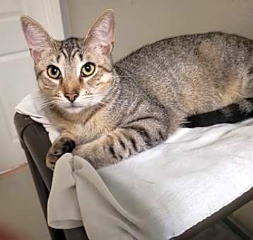 Photo of Teague