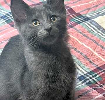 Photo of Newbie