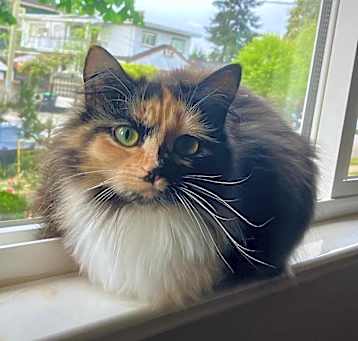 Photo of Josephine 