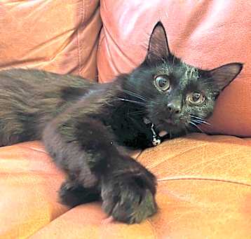 Photo of Rosie 