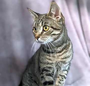 Photo of Raya