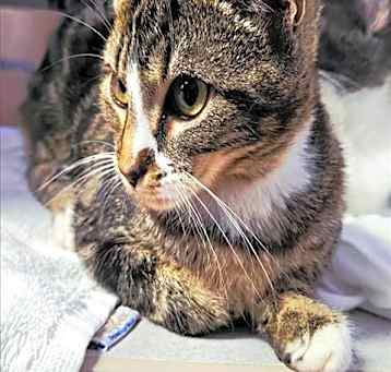 Photo of SUNNY STAR