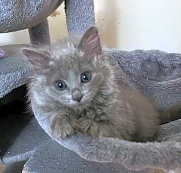 Photo of JACE
