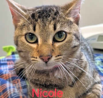 Photo of Nicole