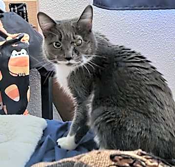 Photo of Cleo
