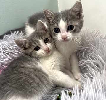 Photo of Mina and Melvin