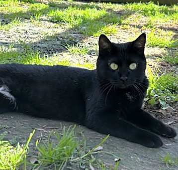 Photo of Harriet