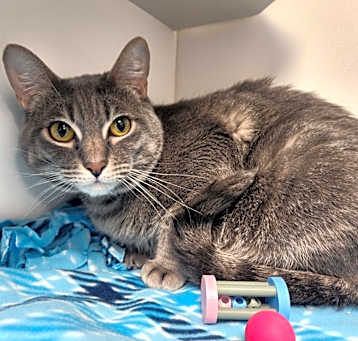 Photo of LUCKY