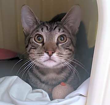 Photo of Olaf